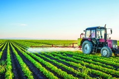 DAIRY CROPS & BARN MAINTENANCE