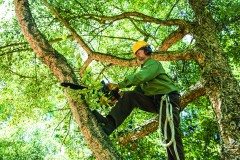 Ground Man & Experienced Climber